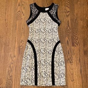 Parker Dress